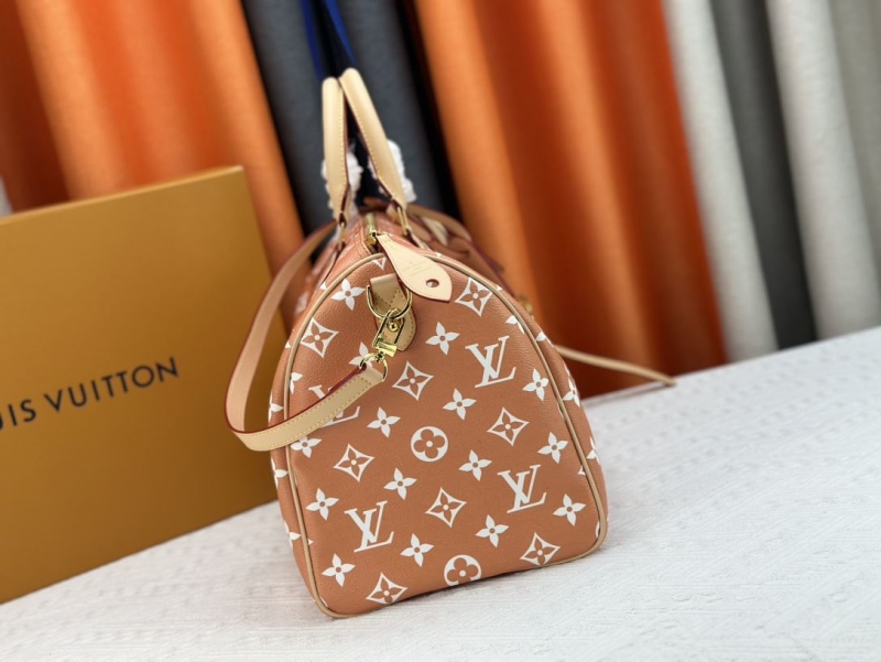 LV Travel Bags